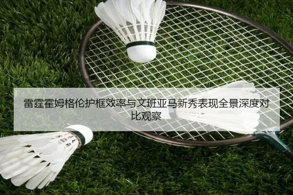 雷霆霍姆格伦护框效率与文班亚马新秀表现全景深度对比观察